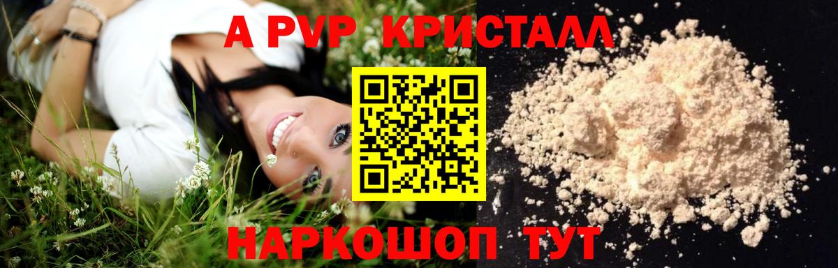 Альфа ПВП СК Оренбург