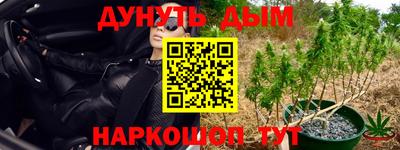 spice Бугуруслан