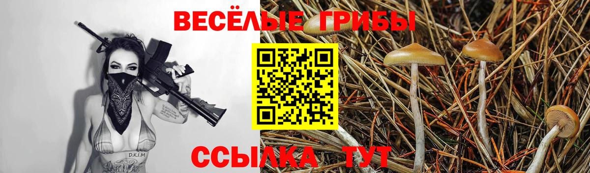 Оренбург  Галлюциногенные грибы Magic Shrooms  Вход с VPN 